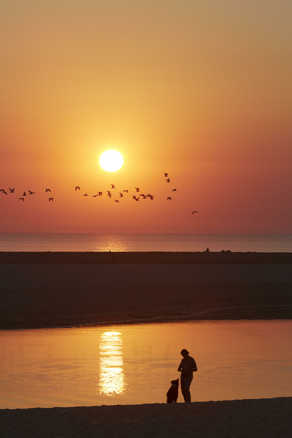 Frau mit Hund im Abenrot am Strand
