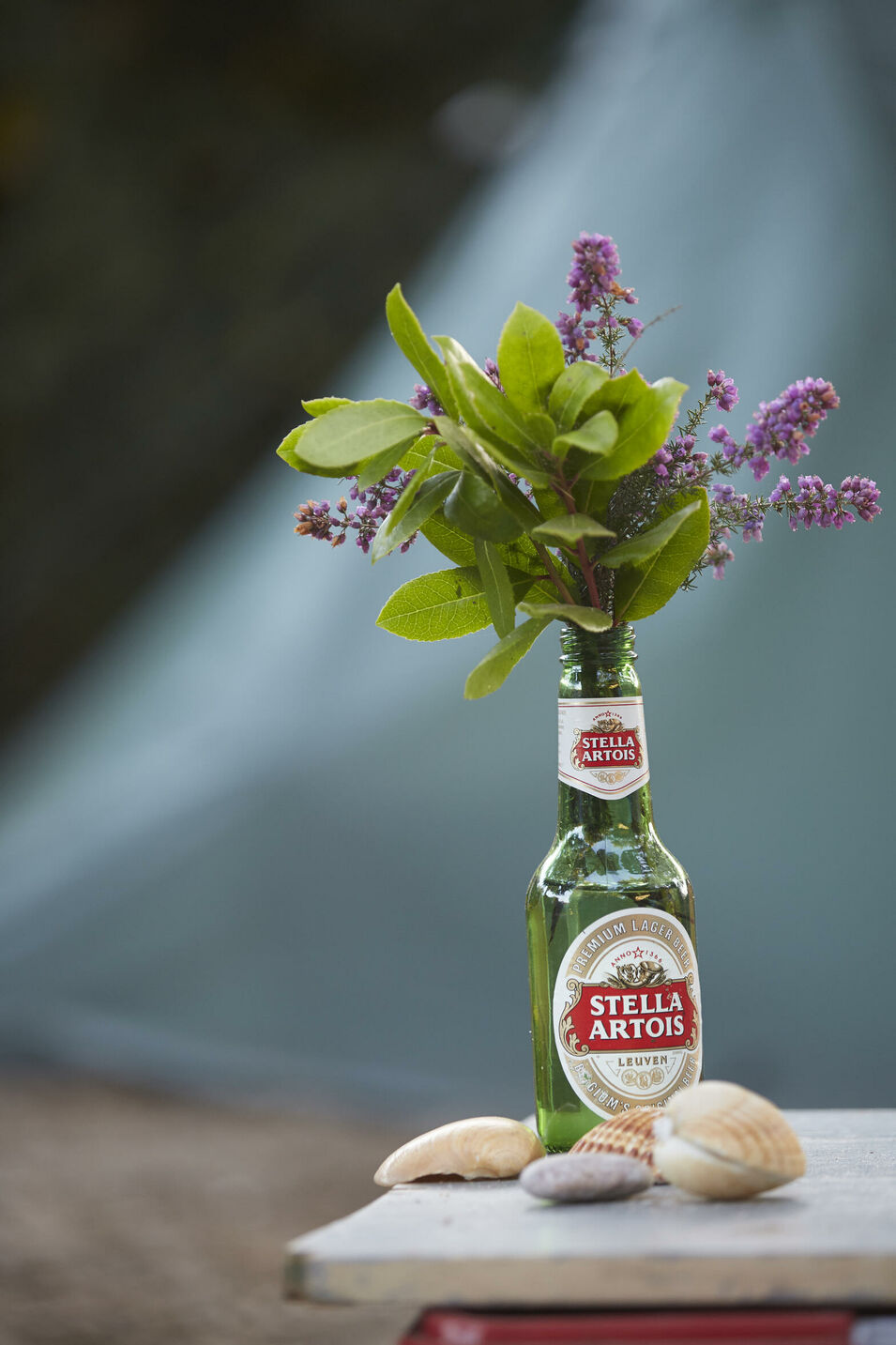 Blumenstilleben in leerer Bierflasche