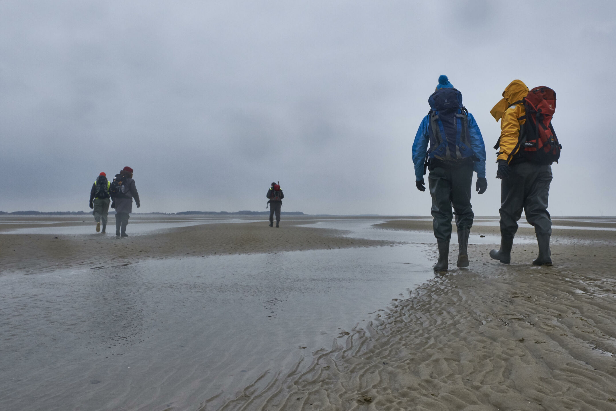 Wattwanderung im Winter von Amrum nach Föhr.