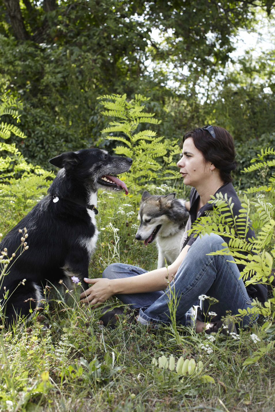 Eine Reise nach Transylvanien, wo man noch mit Pferdekutschen fahren kann und Trüffelhunde unterwegs sind. Für die Zeitschrift DOGS fotografiert.