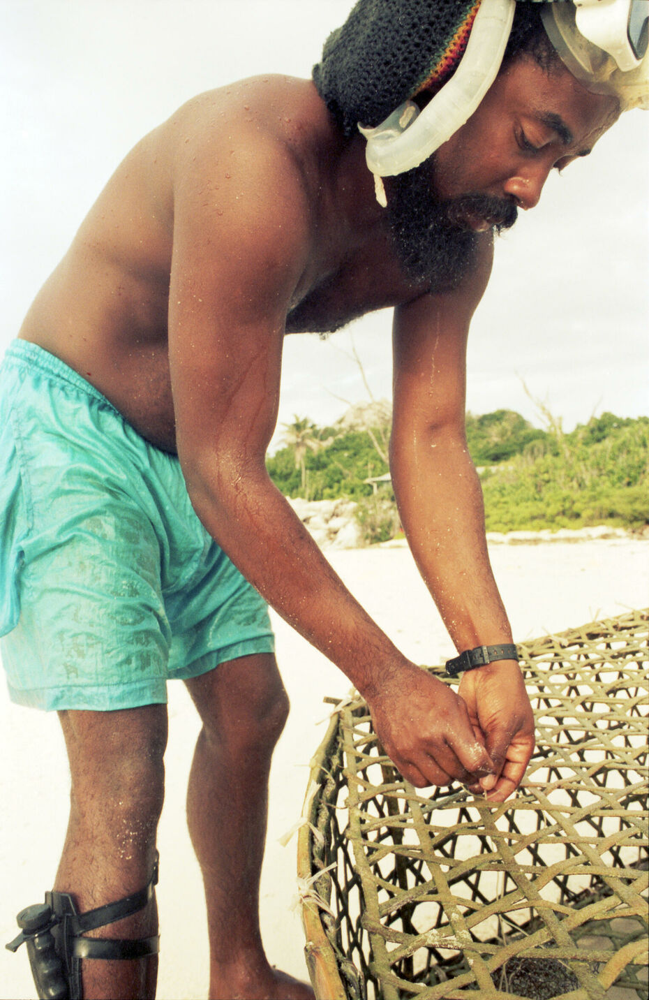 Reisegeschichte für Marie Claire auf die Seychellen und die Insel Praslin mit ihren Vögeln und Riesenschildkröten.