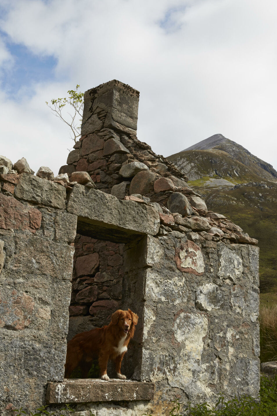 Mehrtägige Wanderung mit Hunden auf dem schottischen West Highland Way. Fotografiert für die Zeitschrift DOGS, Autorin Andrea Mertes