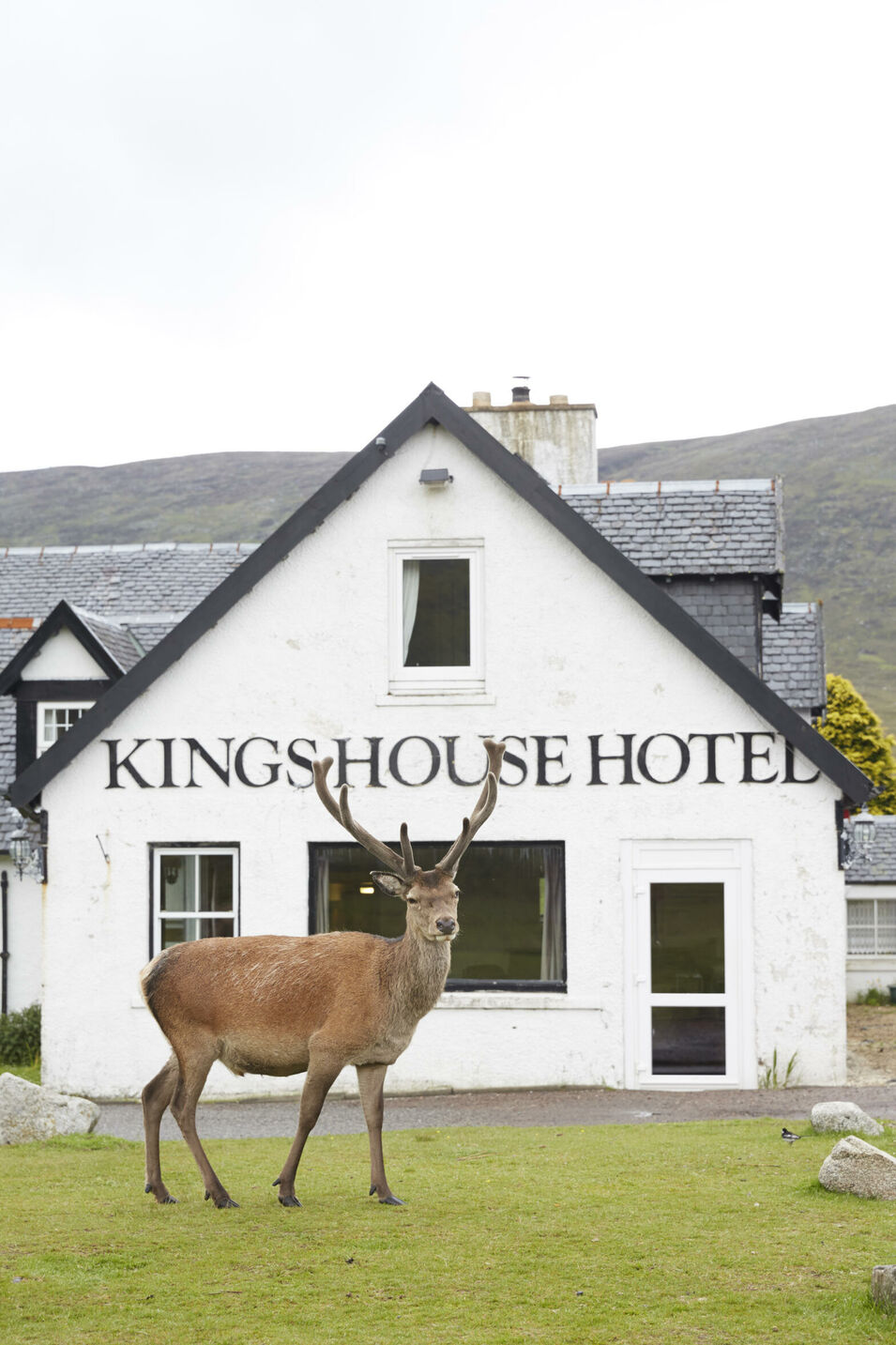 Mehrtägige Wanderung mit Hunden auf dem schottischen West Highland Way. Fotografiert für die Zeitschrift DOGS, Autorin Andrea Mertes