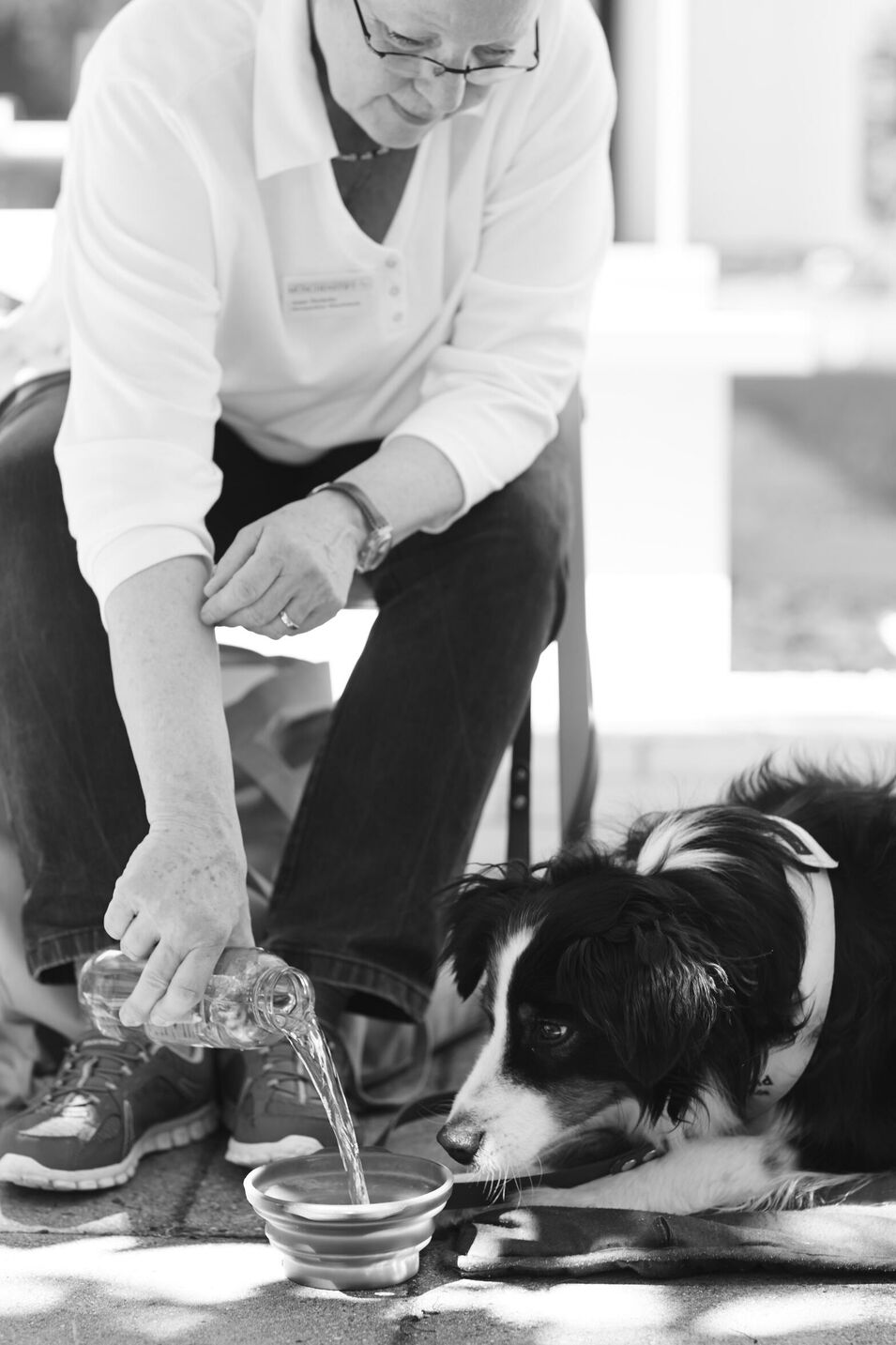 Therapiehund Emil bei der Arbeit in einem Pflegeheim in München, fotografiert für BISS, Bürger in sozialen Schwierigkeiten.