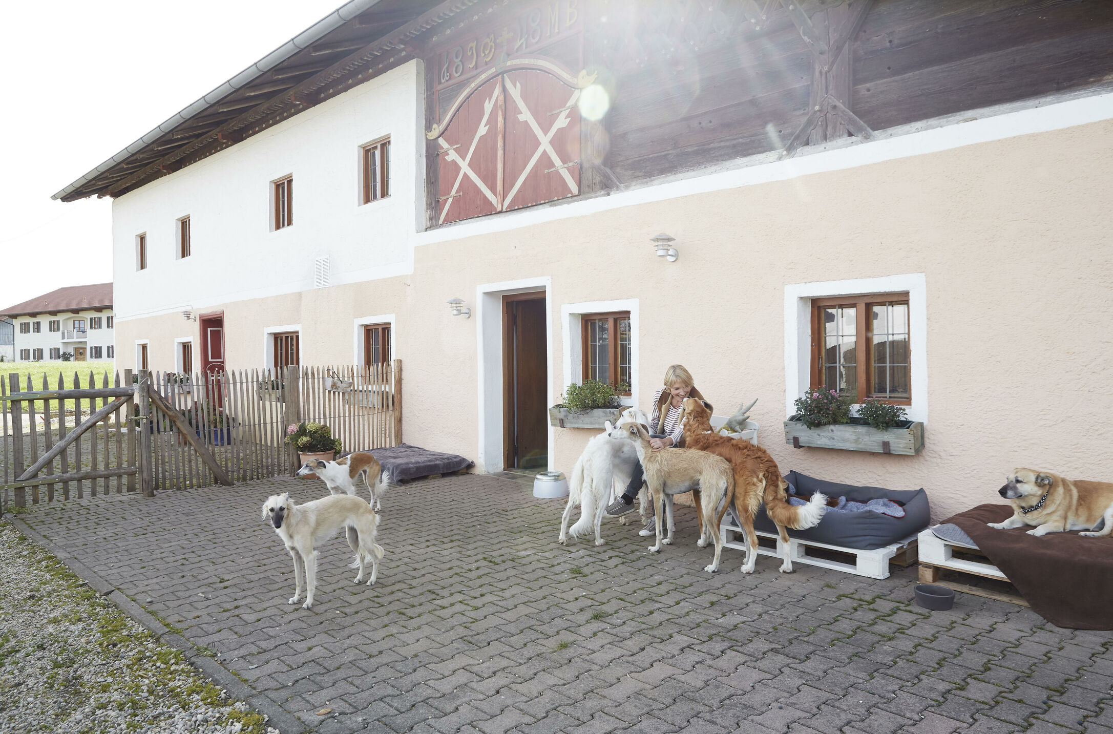 Zu Besuch bei der Autorin Katharina von der Leyen auf ihrem Hof in Niederbayern, wo sie mit ihren vielen Hunden und anderen Haustieren lebt.