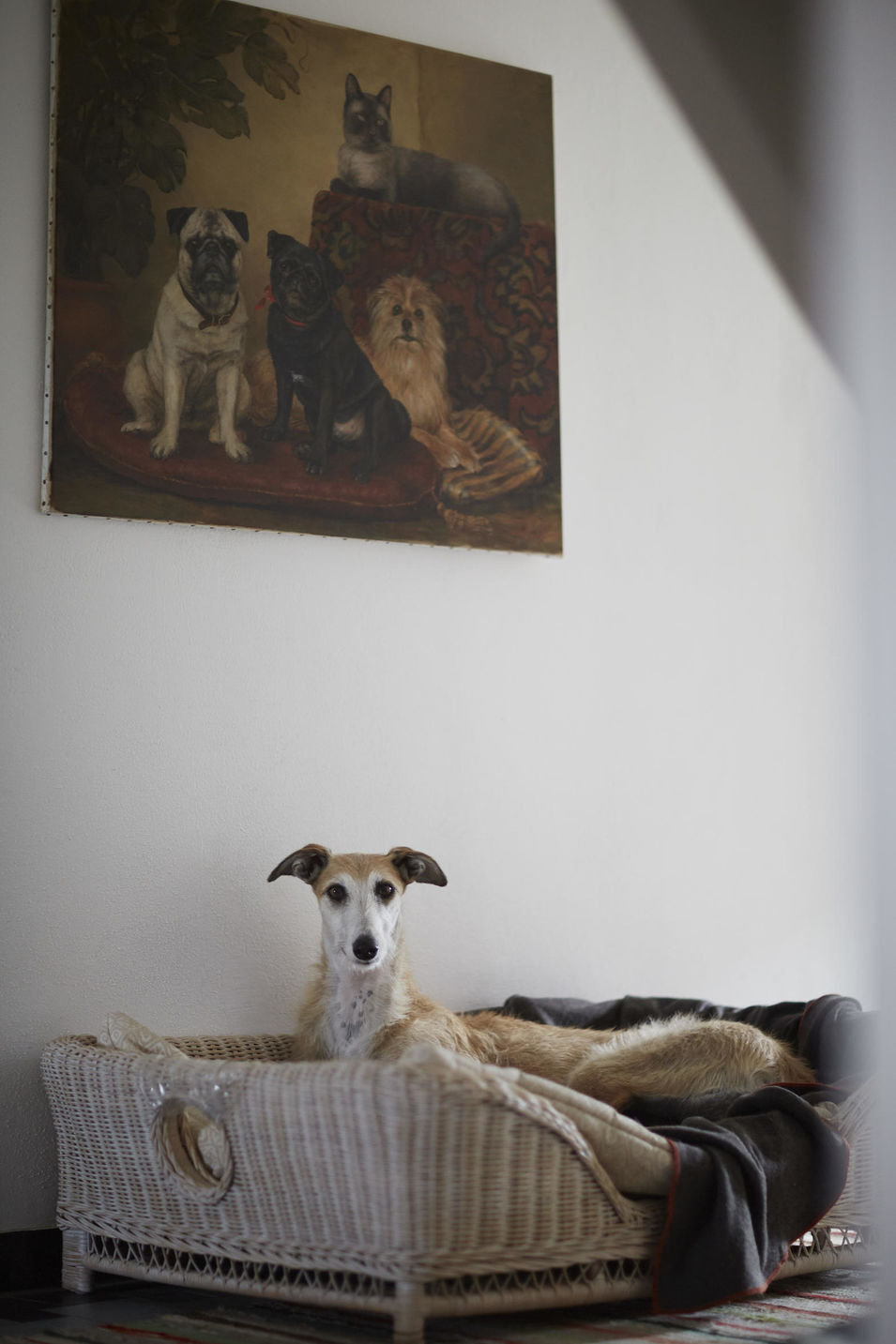 Zu Besuch bei der Autorin Katharina von der Leyen auf ihrem Hof in Niederbayern, wo sie mit ihren vielen Hunden und anderen Haustieren lebt.