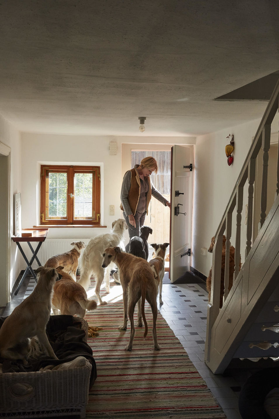 Zu Besuch bei der Autorin Katharina von der Leyen auf ihrem Hof in Niederbayern, wo sie mit ihren vielen Hunden und anderen Haustieren lebt.
