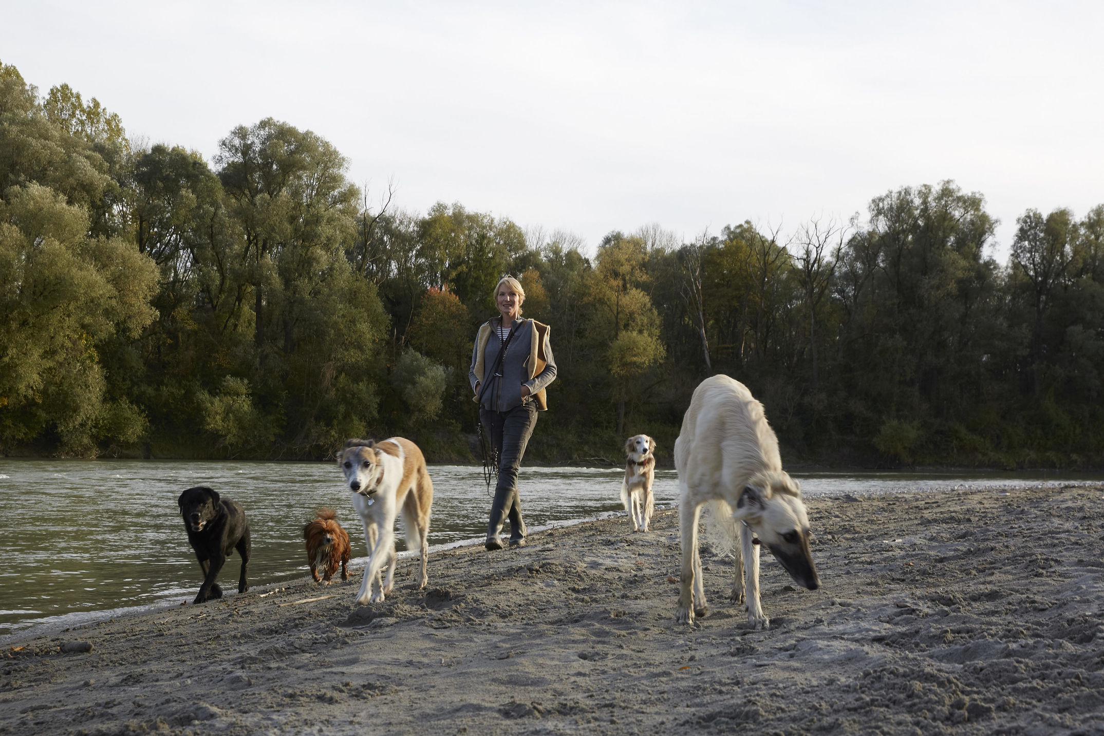 Zu Besuch bei der Autorin Katharina von der Leyen auf ihrem Hof in Niederbayern, wo sie mit ihren vielen Hunden und anderen Haustieren lebt.